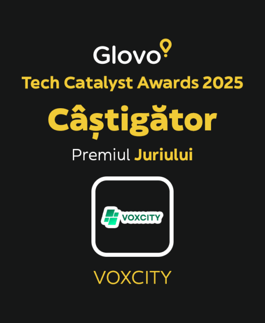 Voxcity Winner RO_